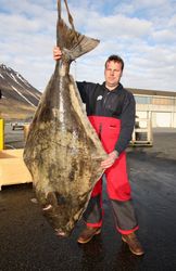 Frank Sartor 68 kg halibut 173 cm